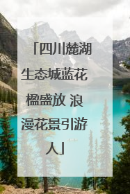 四川麓湖生态城蓝花楹盛放 浪漫花景引游人