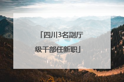 四川3名副厅级干部任新职