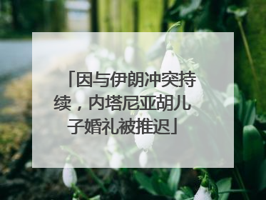 因与伊朗冲突持续，内塔尼亚胡儿子婚礼被推迟