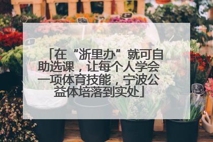 在“浙里办”就可自助选课，让每个人学会一项体育技能，宁波公益体培落到实处