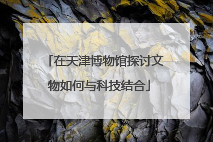 在天津博物馆探讨文物如何与科技结合