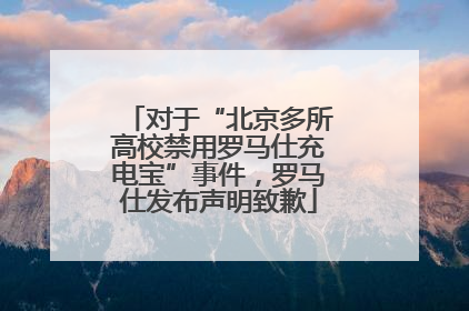 对于“北京多所高校禁用罗马仕充电宝”事件，罗马仕发布声明致歉