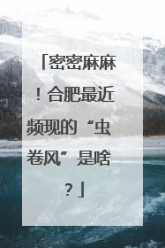 密密麻麻！合肥最近频现的“虫卷风”是啥？