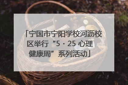 宁国市宁阳学校河沥校区举行“5・25 心理健康周”系列活动