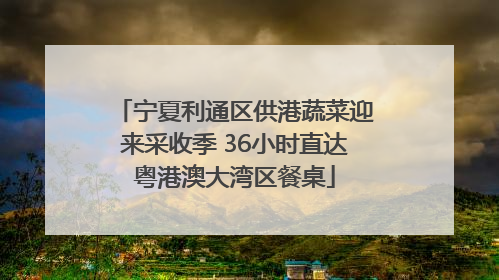 宁夏利通区供港蔬菜迎来采收季 36小时直达粤港澳大湾区餐桌