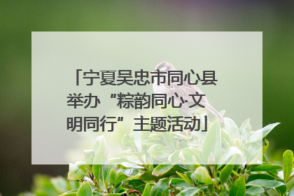 宁夏吴忠市同心县举办“粽韵同心·文明同行”主题活动