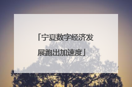宁夏数字经济发展跑出加速度