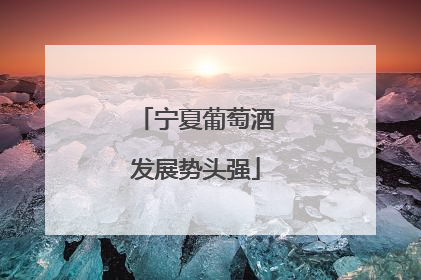 宁夏葡萄酒发展势头强