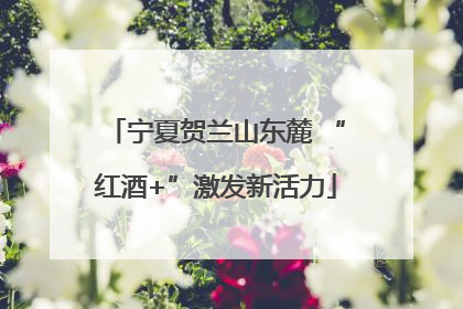 宁夏贺兰山东麓 “红酒+”激发新活力