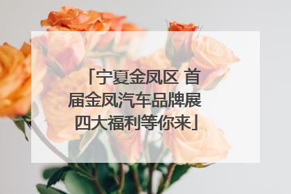 宁夏金凤区 首届金凤汽车品牌展四大福利等你来