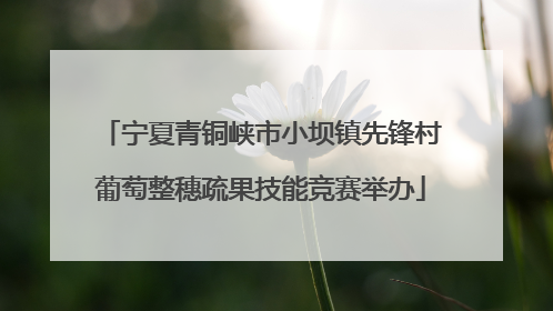 宁夏青铜峡市小坝镇先锋村葡萄整穗疏果技能竞赛举办