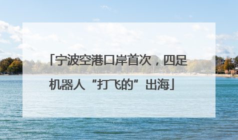 宁波空港口岸首次，四足机器人“打飞的”出海