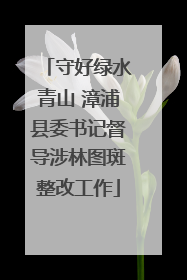 守好绿水青山 漳浦县委书记督导涉林图斑整改工作