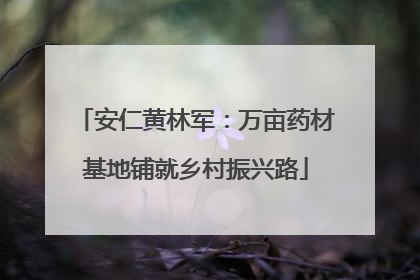 安仁黄林军：万亩药材基地铺就乡村振兴路