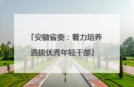 安徽省委：着力培养选拔优秀年轻干部