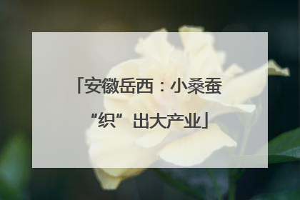 安徽岳西：小桑蚕“织”出大产业