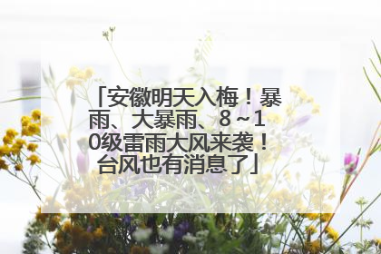 安徽明天入梅！暴雨、大暴雨、8～10级雷雨大风来袭！台风也有消息了