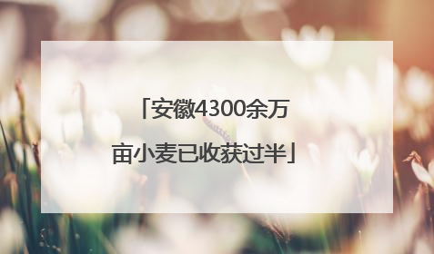安徽4300余万亩小麦已收获过半