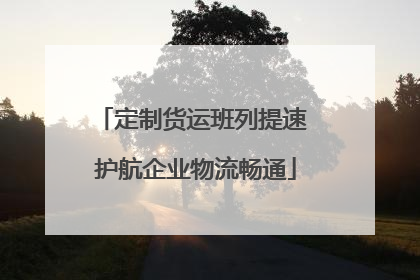 定制货运班列提速 护航企业物流畅通