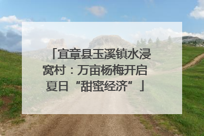 宜章县玉溪镇水浸窝村：万亩杨梅开启夏日“甜蜜经济”