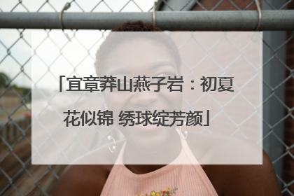 宜章莽山燕子岩：初夏花似锦 绣球绽芳颜