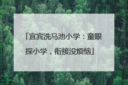 宜宾洗马池小学：童眼探小学，衔接没烦恼