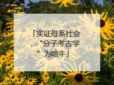 实证母系社会，“分子考古学”为啥牛