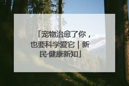 宠物治愈了你，也要科学爱它｜新民·健康新知