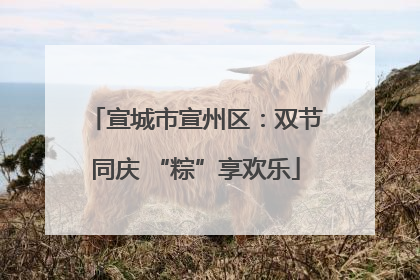 宣城市宣州区：双节同庆 “粽”享欢乐