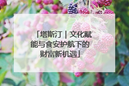 塔斯汀｜文化赋能与食安护航下的财富新机遇