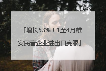 增长53%！1至4月雄安民营企业进出口亮眼