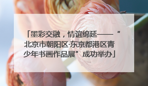 墨彩交融，情谊绵延——“北京市朝阳区·东京都港区青少年书画作品展”成功举办