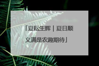 夏耘生辉｜夏日顺义满是农趣期待