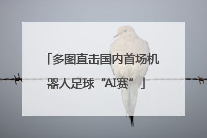 多图直击国内首场机器人足球“AI赛”