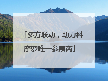 多方联动，助力科摩罗唯一参展商