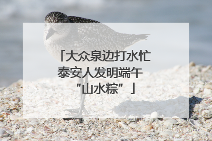 大众泉边打水忙 泰安人发明端午“山水粽”