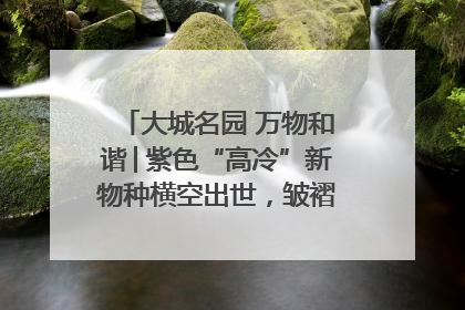 大城名园 万物和谐│紫色“高冷”新物种横空出世，皱褶叶片暗藏进化密码