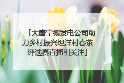 大唐宁德发电公司助力乡村振兴坦洋村春茶评选赛直播引关注