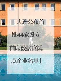 大连公布首批44家设立首席数据官试点企业名单