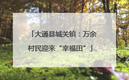 大通县城关镇：万余村民迎来“幸福田”