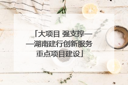 大项目 强支撑——湖南建行创新服务重点项目建设