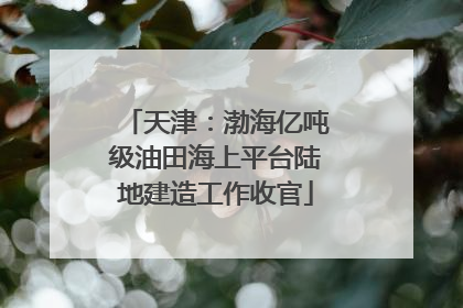 天津：渤海亿吨级油田海上平台陆地建造工作收官