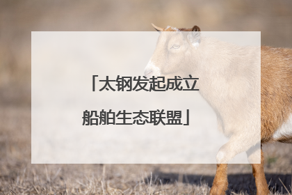 太钢发起成立船舶生态联盟