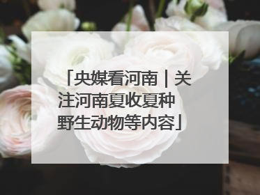 央媒看河南｜关注河南夏收夏种 野生动物等内容