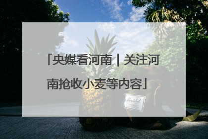 央媒看河南｜关注河南抢收小麦等内容
