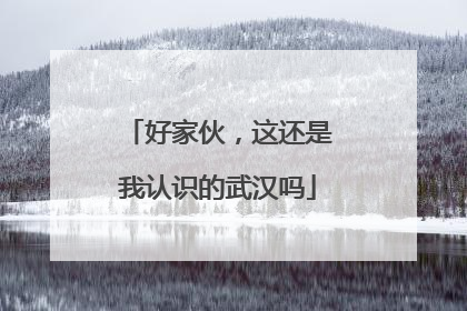 好家伙，这还是我认识的武汉吗