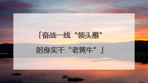 奋战一线“领头雁” 躬身实干“老黄牛”