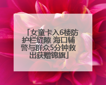 女童卡入6楼防护栏缝隙 海口辅警与群众5分钟救出获赠锦旗