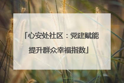 心安处社区：党建赋能 提升群众幸福指数