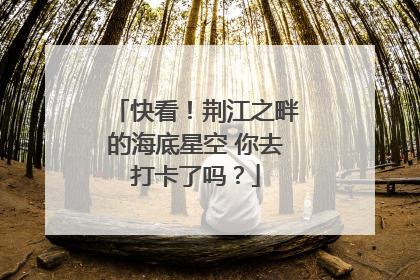 快看！荆江之畔的海底星空 你去打卡了吗？